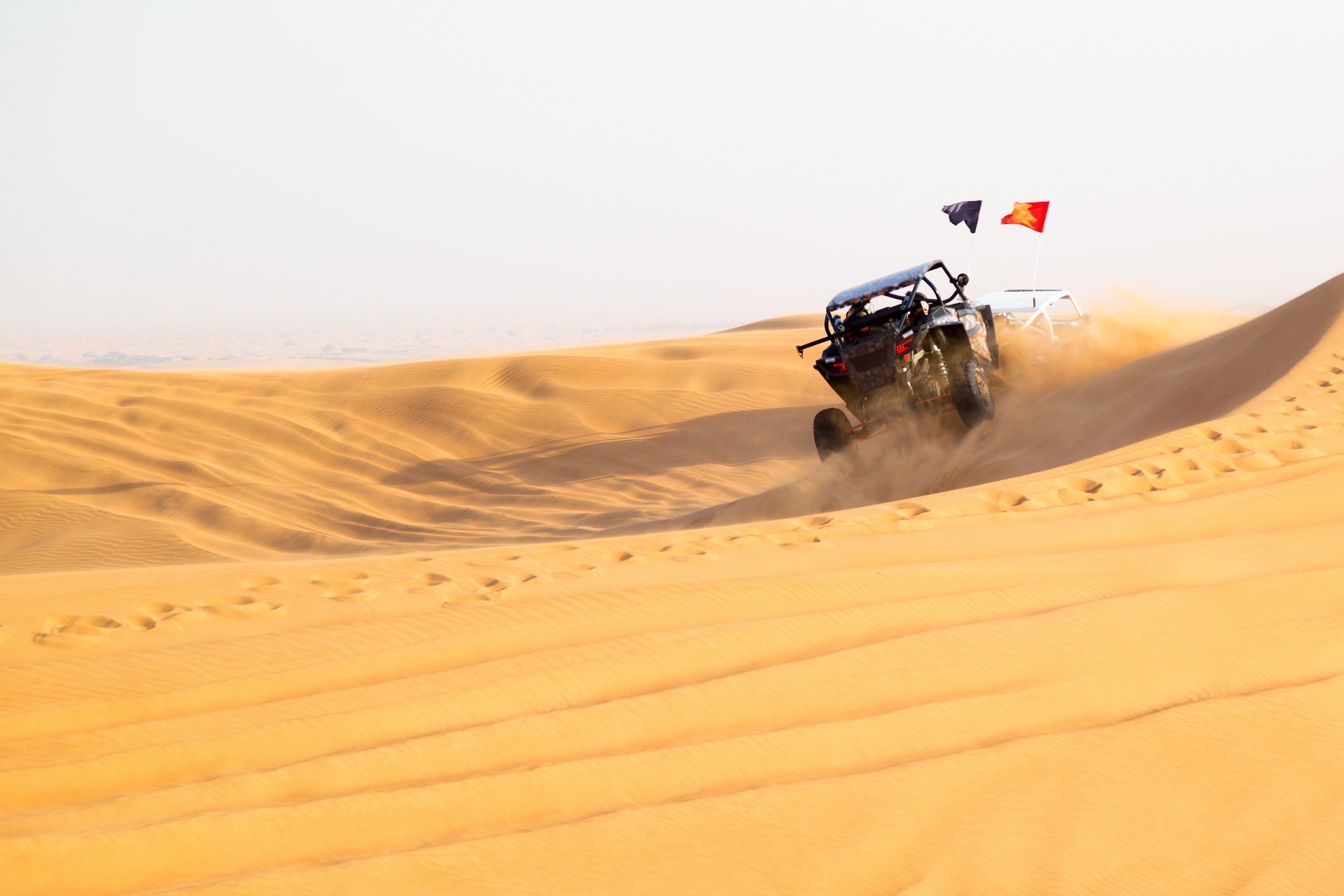 Desert Rally Sports Race. Sand cloud